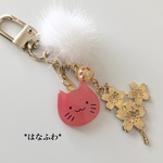 ✿サクラネコ✿