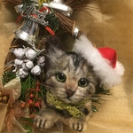 tora-chan7様ご予約品ウチの子ブローチ
