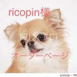 羊毛フェルト ハンドメイド  ricopin 様 オーダーページ