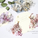 紫陽花とかすみ草の ドライフラワー ブーケ ピアス・イヤリング