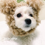 【再々販】モフモフくまスヌード