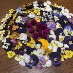 お花屋さんが作ったビオラと千日紅のドライフラワー⑥