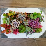多肉植物寄せ植え「ジュエリーＢＯＸ」