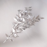 花材 ラスカス プラチナシルバー