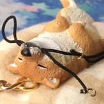 I LOVE  柴犬