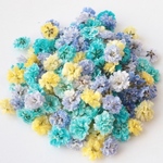 かすみ草ドライフラワー  マーメイドミックス