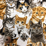 新作！【50×50】国産　猫ちゃん大集合♪オックス生地（カラー）
