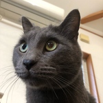 kumaoh様専用