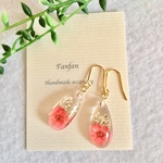 押し花のピアス／イヤリング