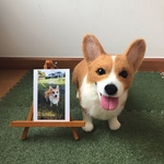 mochikoharun様オーダー品コーギー