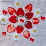 【送料無料！/12月限定】 押しフルーツ🍓いちご10枚&ノースポールセット╰(*´︶`*)╯♡