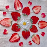 【送料無料！/12月限定】押しフルーツ🍓いちご12枚&ノースポールセット╰(*´︶`*)╯♡