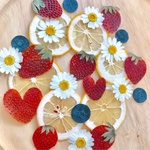 送料無料！押しフルーツ🍋🍓セット