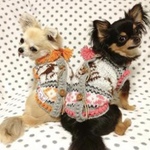 ワンちゃんセーター（カウチンセーター、ピンクリス柄）