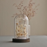 BotanicalGlassdome 雪の花 a