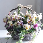 花越パンジーのたっぷりバスケット手つきA