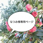 【なつみ様専用】