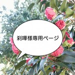 【刹嘩様専用】