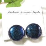 ハンドメイドイヤリング 樹脂粘土 キラキラ ブルー 手作り アクセサリー ブラック