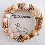 ダックスフンドの Welcome シャンパンリース