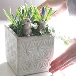 再販★ムスカリとアライグマの親子
