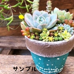 ナチュラルリメ鉢(グリーン)