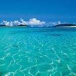 kur様専用です。