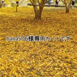 hana506様の専用カートです。
