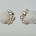 【再6】shellfish 25