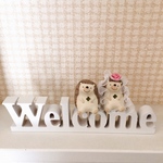 【kawa73様専用】welcome   ハリネズミ 🦔
