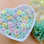 かすみ草ドライフラワー