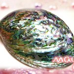やっと再入荷★溢れ出る虹が眩しい！★最高ランクのアバロンシェル★さざれ石を入れて浄化をすればパワーアップ！