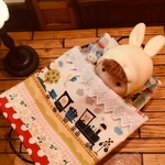 S様ご注文の品 ＊ふわふわ赤ちゃん人形＊
