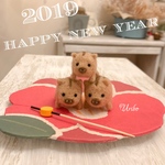 いのしし 羊毛フェルト お正月飾り 縁起物 2019 亥 イノシシ 猪  置物  セット