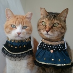 キラキラ王族コスプレセット