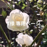 T様専用ページ