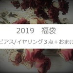 送料無料＊2019福袋　押し花ピアス/イヤリング3点セット