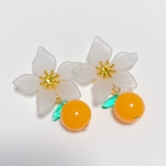 ゆずのお花とゆずイヤリングorピアス