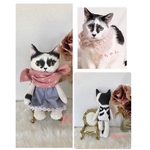 Chii-AA-Ruu樣用　うちの子猫人形