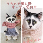 【オーダーメイド】うちの子♥猫人形  ぬいぐるみ