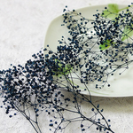 かすみ草　カスミ草　プリザーブド　インディゴブルー