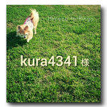 【 kura4341様専用カート 】