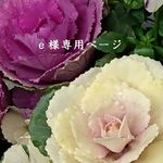 【ｅ様専用ページ】