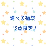 2点限定 選べる福袋