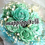 mappippi82様専用