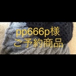 [ご予約商品] pp666p様専用