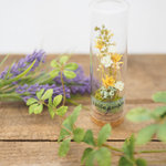 新作 little garden