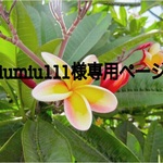 miumiu111様専用ページ
