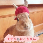 りんごの帽子（立ち耳うさぎさん用）