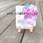 みるきーらて様専用ページ( ⁎ᵕᴗᵕ⁎ )❤︎
